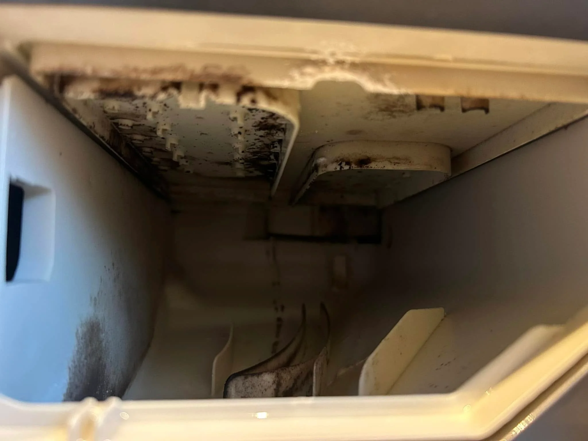 Washing Machine Cleaning 1 justina clean ovens cheshire 51